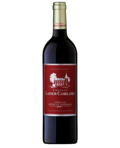 Chateau Latour Camblanes photo