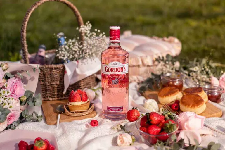 Gordon's Premium Pink 1L photo 2