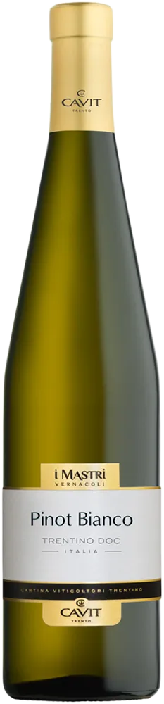 MASTRI VERNACOLI PINOT BIANCO TRENTINO DOC 2020 photo 1