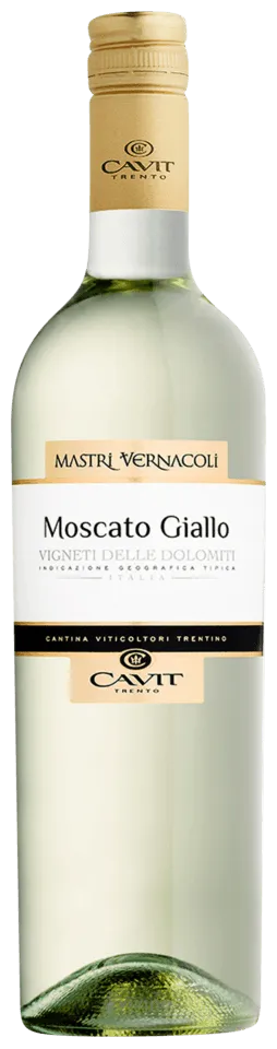 MASTRI VERNACOLI MOSCATO GIALLO VIGNETI DELLE DOLOMITI 2020 STELVIN photo 1