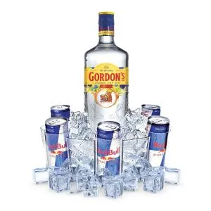 PARTY BOX Gordon's London Dry 0,7 + 6x Red Bull photo