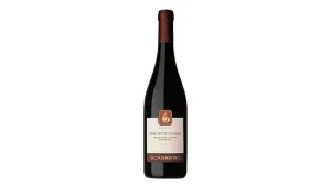 SCANAVINO DOLCETTO D'ALBA DOC 2021 photo
