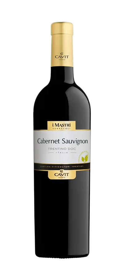 MASTRI VERNACOLI CABERNET SAUVIGNON TRENTINO DOC 2020 photo 1