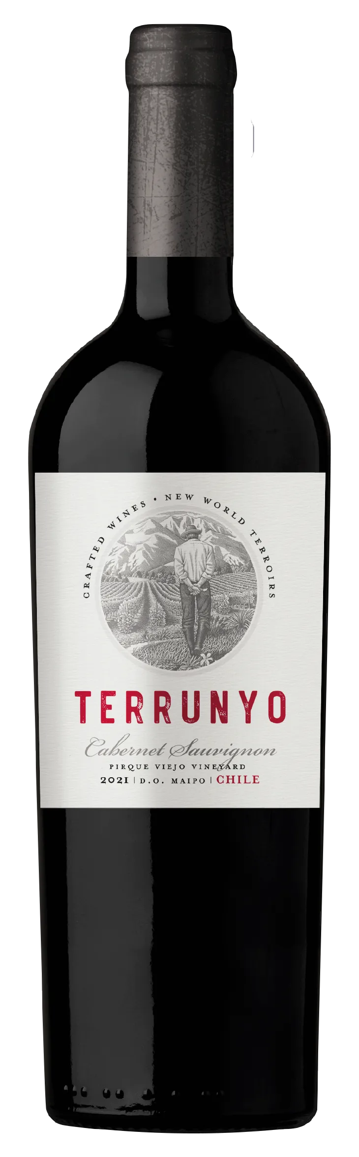 Concha y Toro 'Terrunyo' Block 27 Peumo Vineyard Carmenere photo 1