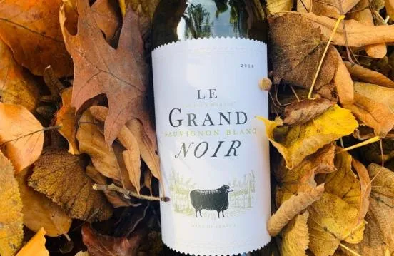 Le Grand Noir Sauvignon Blanc photo 2