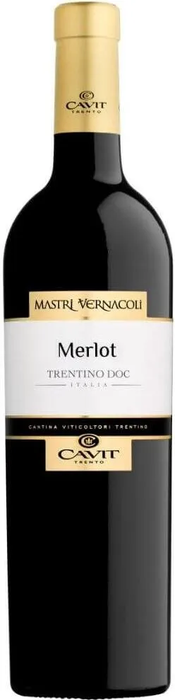 MASTRI VERNACOLI MERLOT TRENTINO DOC 2020 photo 1